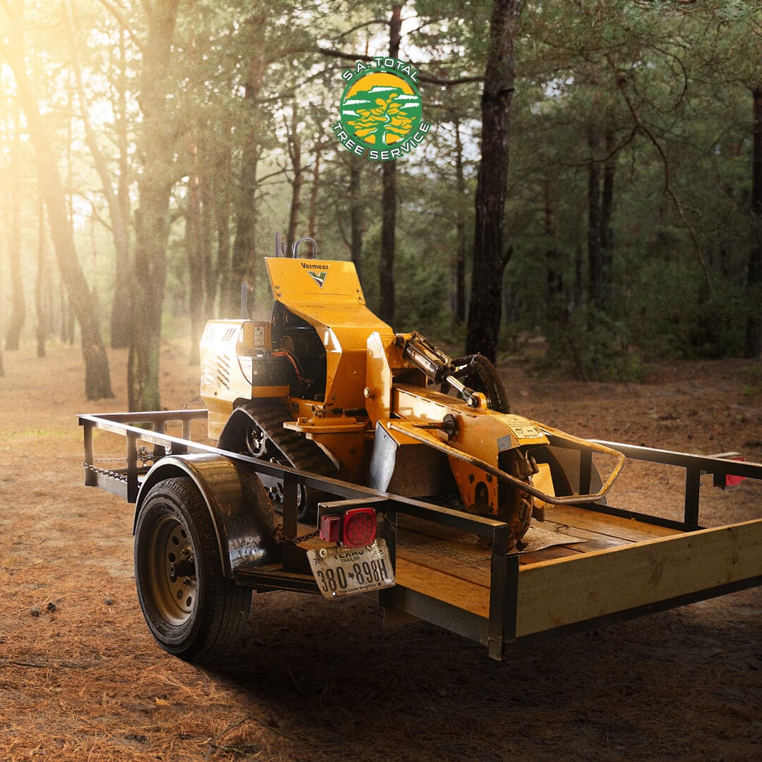 A yellow stump grinder on a trailer sits in a forest with a logo for "Rarotaki Tree Service" displayed above it, showcasing the expertise of this tree care company.