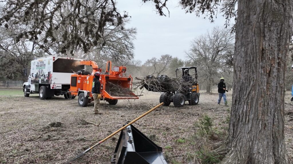 S.A. Total Tree Service crew performing expert tree removal and debris cleanup in San Antonio, Helotes, and the Texas Hill Country. Call (210) 857-2006 for safe and reliable tree cutting.