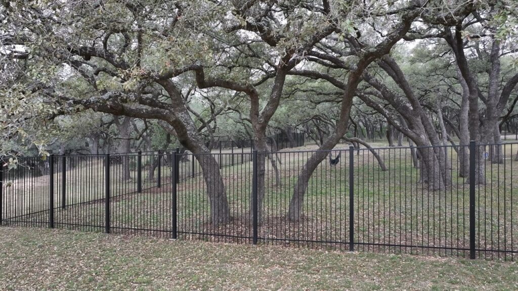 S.A. Total Tree Service providing expert tree trimming for residential properties in Helotes, San Antonio, and the Texas Hill Country. Call (210) 857-2006 for a free estimate.