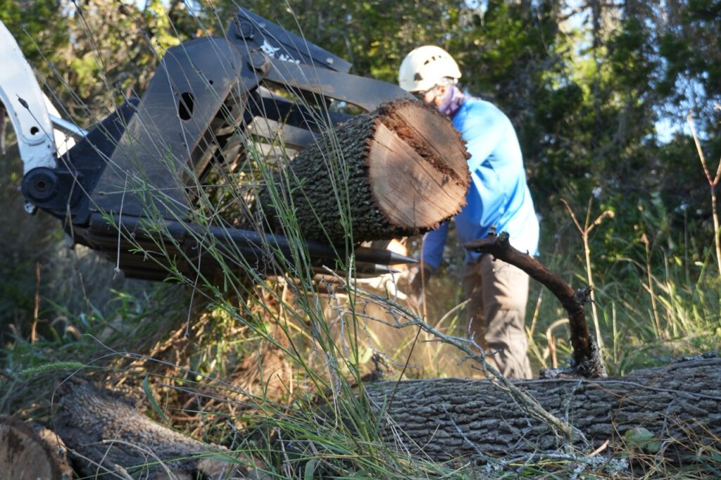 S.A. Total Tree Service providing expert tree removal and land clearing in San Antonio, Helotes, and the Texas Hill Country. Call (210) 857-2006 for safe and efficient tree cutting services.