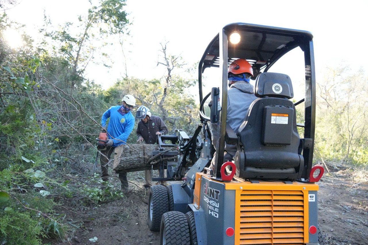 S.A. Total Tree Service performing professional tree removal in Helotes, San Antonio, and the Texas Hill Country. Call (210) 857-2006 for expert tree cutting services.