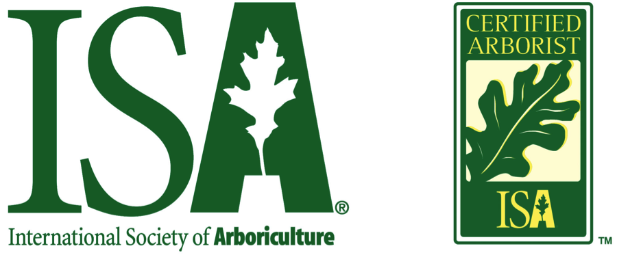 ISA Certified Arborist credentials for S.A. Total Tree Service in San Antonio, TX